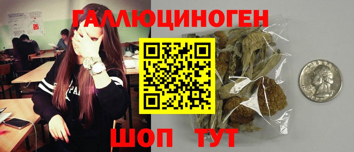 Галлюциногенные грибы MAGIC MUSHROOMS  Вход с VPN  Пушкино 