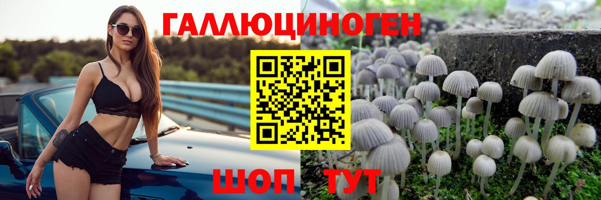 Псилоцибиновые грибы GOLDEN TEACHER Пушкино